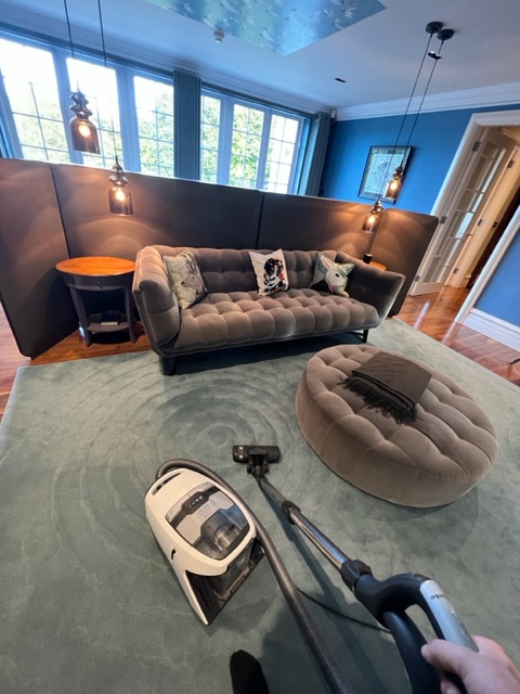 clean living room and carpet